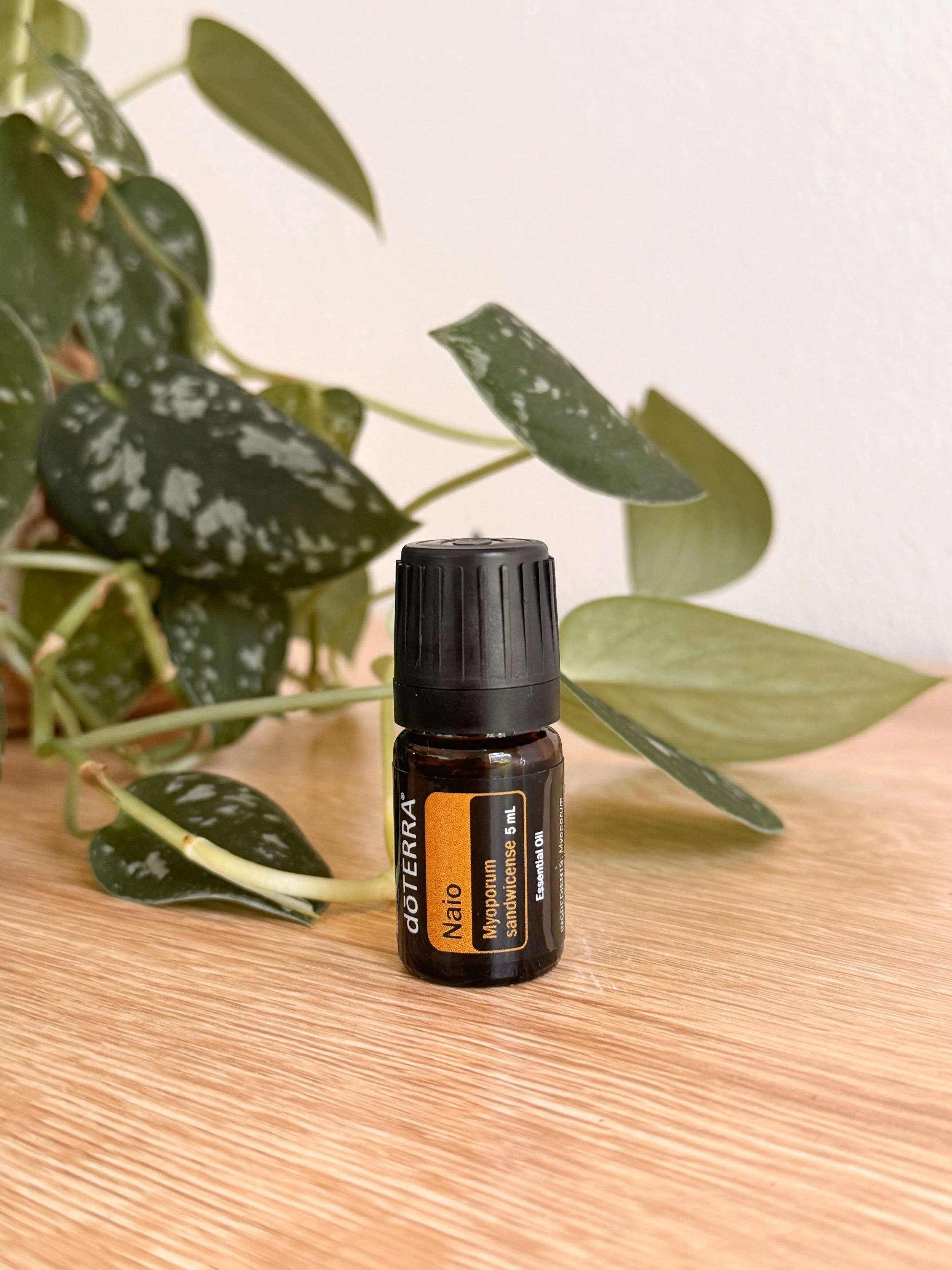 New Oils and Products with doTERRA FALL 2026! — essentialshine